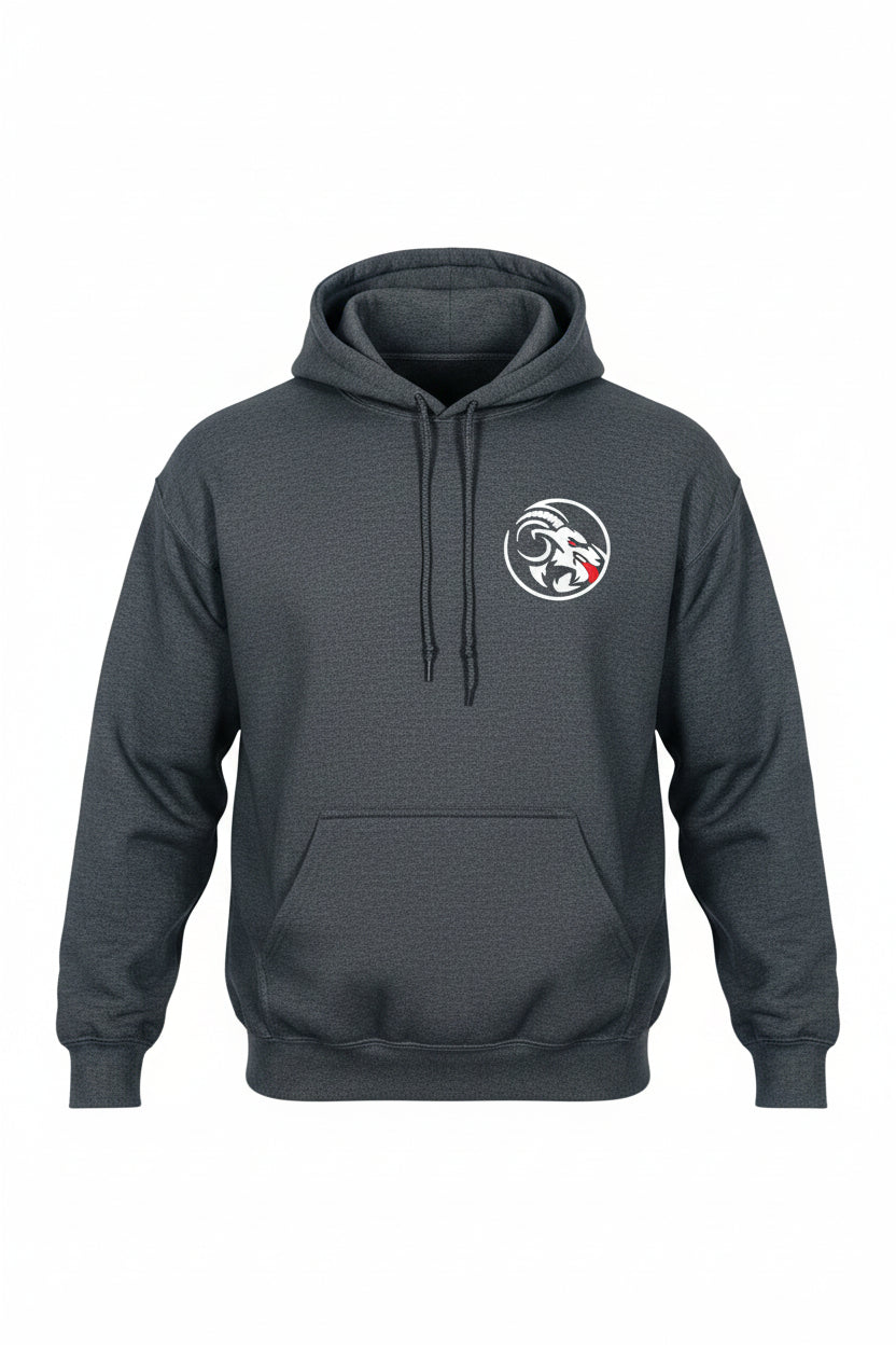 Gray hoodie with a logo on the chest against a white background